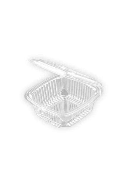 ENV  PET RECT  250CC   TAPA BISAGRA  PAQ  100UDS   ENV  PET RECT  250CC   TAPA BISAGRA  PAQ  100UDS