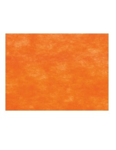 NASE Canarias | Mantel individual Laystil naranja | 30x40