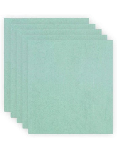 BAYETA PVAPLUS ABSORBENTE 38X35CM VERDE  PAQ 5UD 