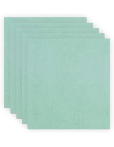 BAYETA PVAPLUS ABSORBENTE 38X35CM VERDE  PAQ 5UD  2