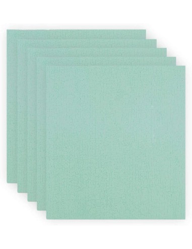 BAYETA PVAPLUS ABSORBENTE 38X35CM VERDE  PAQ 5UD