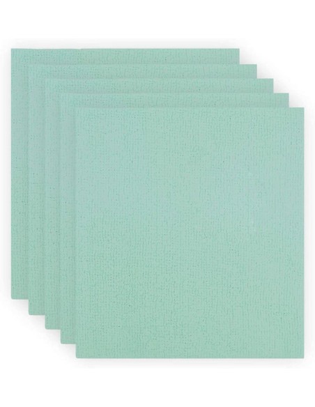 BAYETA PVAPLUS ABSORBENTE 38X35CM VERDE  PAQ 5UD  BAYETA PVAPLUS ABSORBENTE 38X35CM VERDE  PAQ 5UD