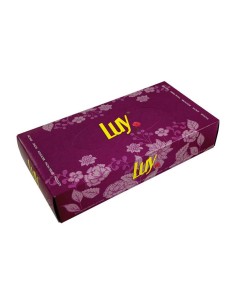 PAÑUELO FACIAL LUY   PAQ 100 UD